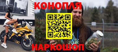 прущие грибы Камень-на-Оби